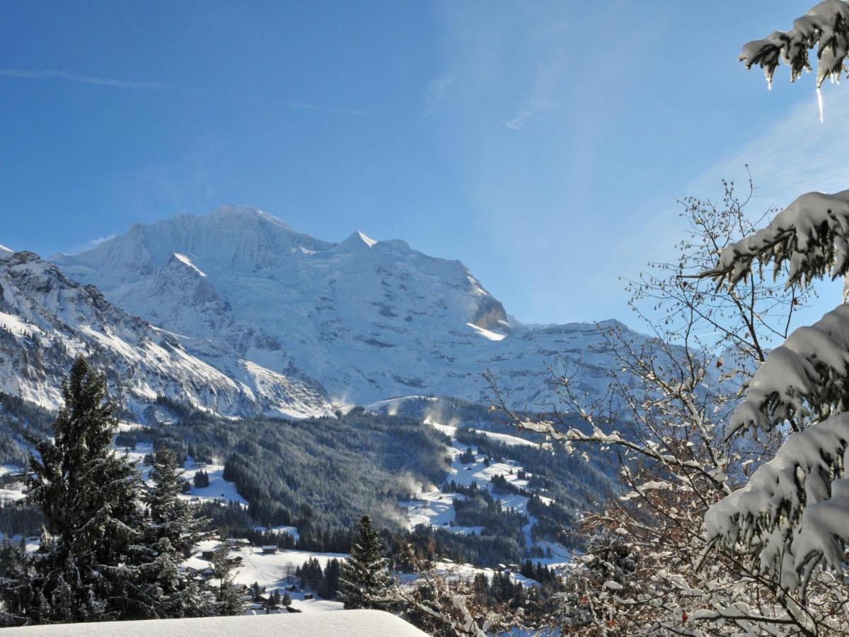 Apartment Goldenhorn Apt-F By Interhome Wengen Zewnętrze zdjęcie